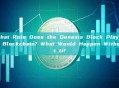 What Role Does the Genesis Block Play in Blockchain? What Would Happen Without It?