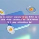 How to transfer money from CEX to the wallet and then connect to DEX?What should I pay attention to?
