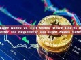 Light Nodes vs. Full Nodes: Which One Is Better for Beginners? Are Light Nodes Safe?
