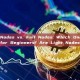 Light Nodes vs. Full Nodes: Which One Is Better for Beginners? Are Light Nodes Safe?
