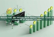 Stop Wasting Time: The Ultimate Batch Balance Checker Crypto Veterans Swear By (A Beginner’s Guide)