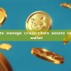 how to manage cross-chain assets in one wallet