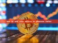 how to add coin adress to phantom wallet