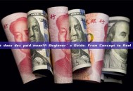 what does dex paid mean?A Beginner’s Guide: From Concept to Real Use
