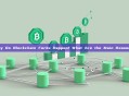 Why Do Blockchain Forks Happen? What Are the Main Reasons?