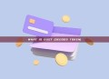WHAT IS DUST (DEGODS TOKEN)