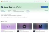 How to Add Neutron to MetaMask