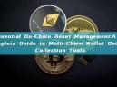 Essential On-Chain Asset Management:A Complete Guide to Multi-Chain Wallet Batch Collection Tools Essential On-Chain Asset Management:A Complete Guide to Multi-Chain Wallet Batch Collection Tools