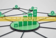 Why Is My Token Logo Not Showing Up After I Launch? (MetaMask, Etherscan, DEX & More)