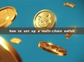 how to set up a multi-chain wallet