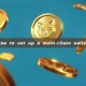 how to set up a multi-chain wallet