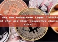 What are the mainstream Layer 1 blockchains, and what are their respective characteristics? 