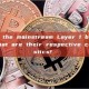What are the mainstream Layer 1 blockchains, and what are their respective characteristics? 