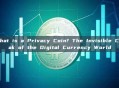 What is a Privacy Coin? The Invisible Cloak of the Digital Currency World