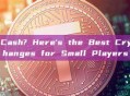 Low on Cash? Here's the Best Crypto Exchanges for Small Players