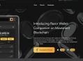 How to Add Movement to MetaMask