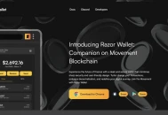 How to Add Movement to MetaMask