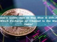 Beginner's Guide: How to Buy Blue U (ERC20-USDT)? Which Exchange or Channel Is the Most Reliable?