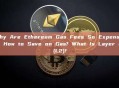 Why Are Ethereum Gas Fees So Expensive? How to Save on Gas? What Is Layer 2 (L2)?