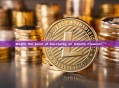 What's the point of burrowing on Kamino Finance? ﻿