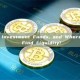 What Are Investment Funds, and Where Do They Find Liquidity?