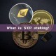 What is SXP staking?
