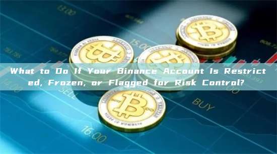 What to Do If Your Binance Account Is Restricted, Frozen, or Flagged for Risk Control? 