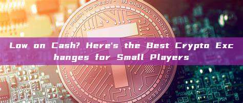 Low on Cash? Here's the Best Crypto Exchanges for Small Players