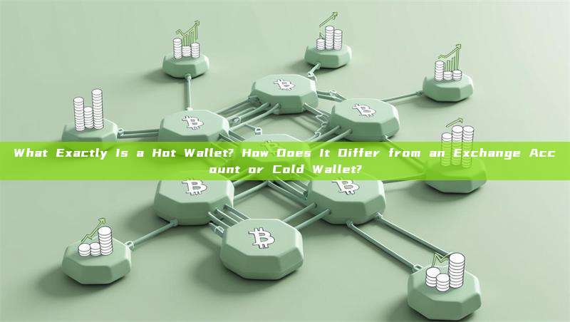 What Exactly Is a Hot Wallet? How Does It Differ from an Exchange Account or Cold Wallet?