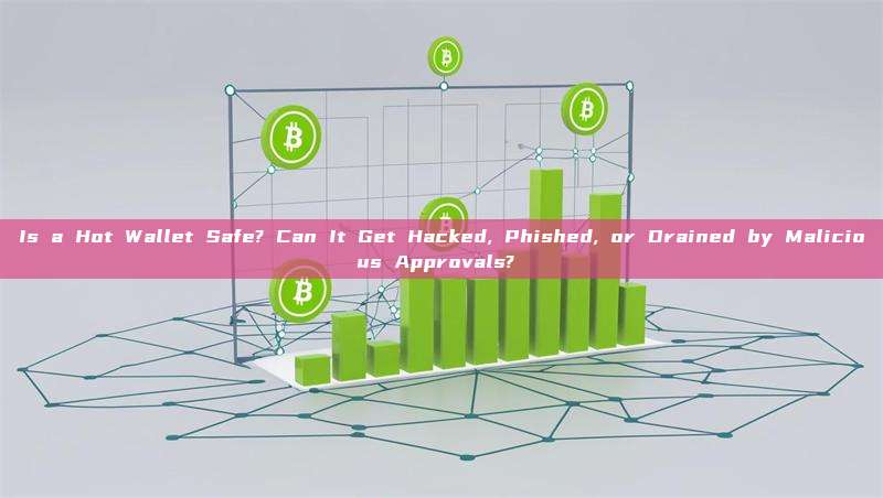 Is a Hot Wallet Safe? Can It Get Hacked, Phished, or Drained by Malicious Approvals? 