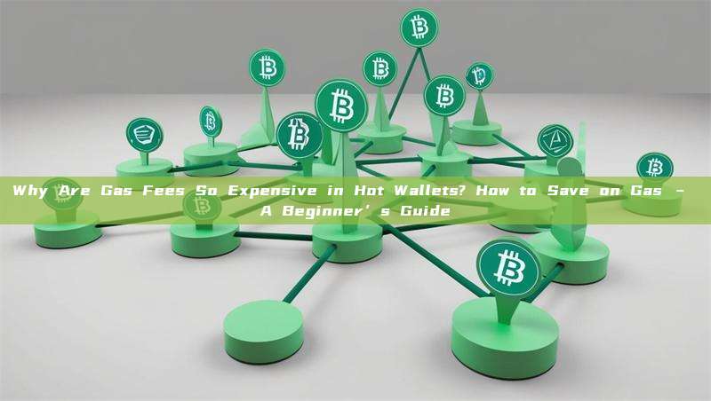 Why Are Gas Fees So Expensive in Hot Wallets? How to Save on Gas – A Beginner’s Guide
