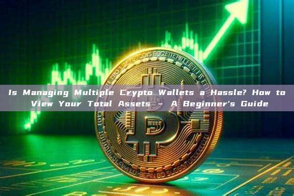 Is Managing Multiple Crypto Wallets a Hassle? How to View Your Total Assets – A Beginner's Guide