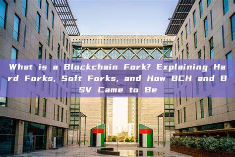 What is a Blockchain Fork? Explaining Hard Forks, Soft Forks, and How BCH and BSV Came to Be