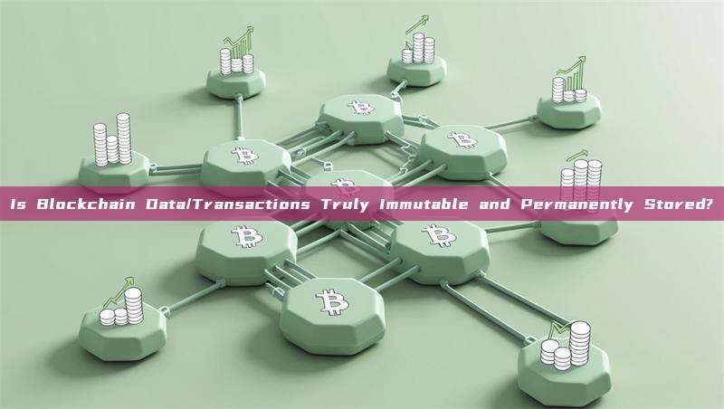 Is Blockchain Data/Transactions Truly Immutable and Permanently Stored?