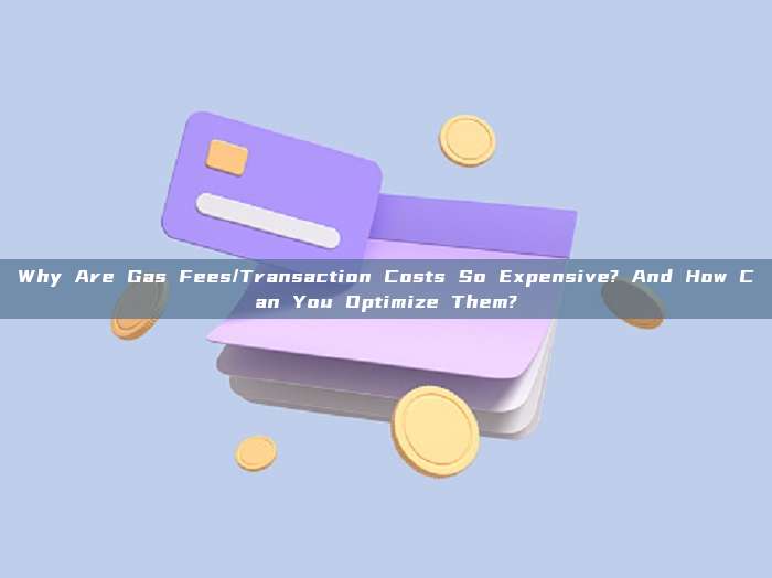 Why Are Gas Fees/Transaction Costs So Expensive? And How Can You Optimize Them?