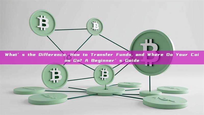 What’s the Difference, How to Transfer Funds, and Where Do Your Coins Go? A Beginner’s Guide