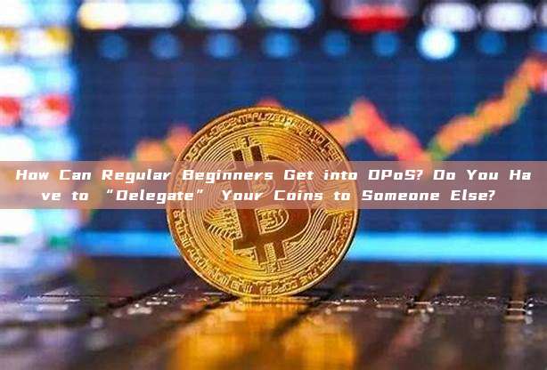 How Can Regular Beginners Get into DPoS? Do You Have to “Delegate” Your Coins to Someone Else? 