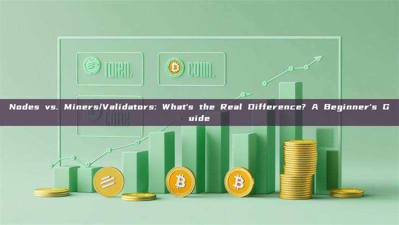 Nodes vs. Miners/Validators: What's the Real Difference? A Beginner's Guide