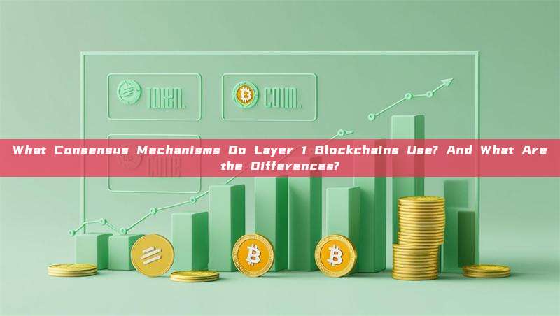 What Consensus Mechanisms Do Layer 1 Blockchains Use? And What Are the Differences?