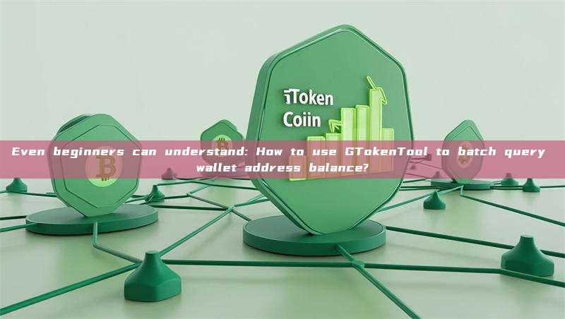 Even beginners can understand: How to use GTokenTool to batch query wallet address balance?