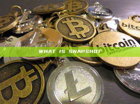 WHAT IS SNAPSHOT