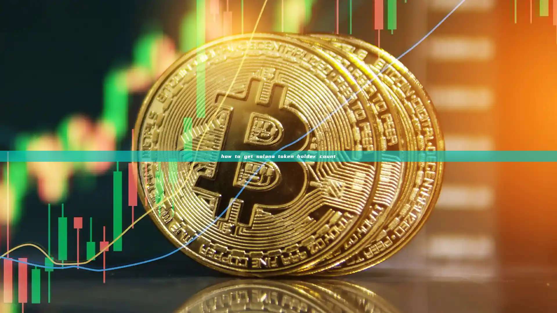 how to get solana token holder count