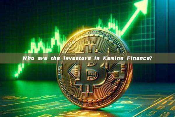 Who are the investors in Kamino Finance?