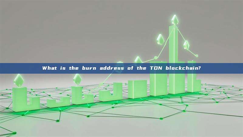 What is the burn address of the TON blockchain?