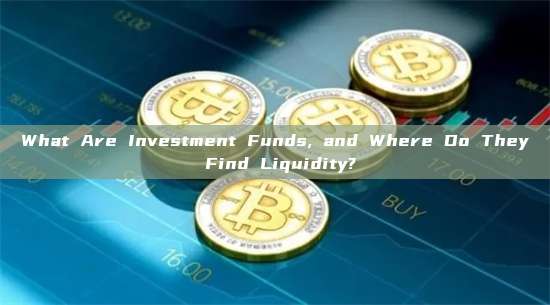 What Are Investment Funds, and Where Do They Find Liquidity?