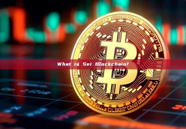 What is Sei Blockchain?