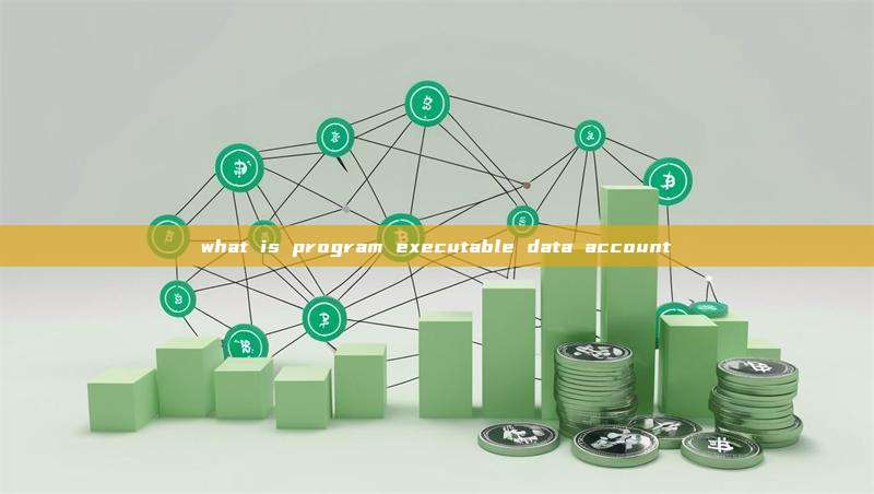 what is program executable data account