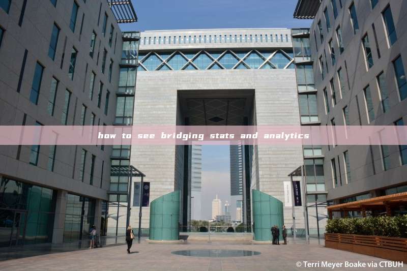 how to see bridging stats and analytics