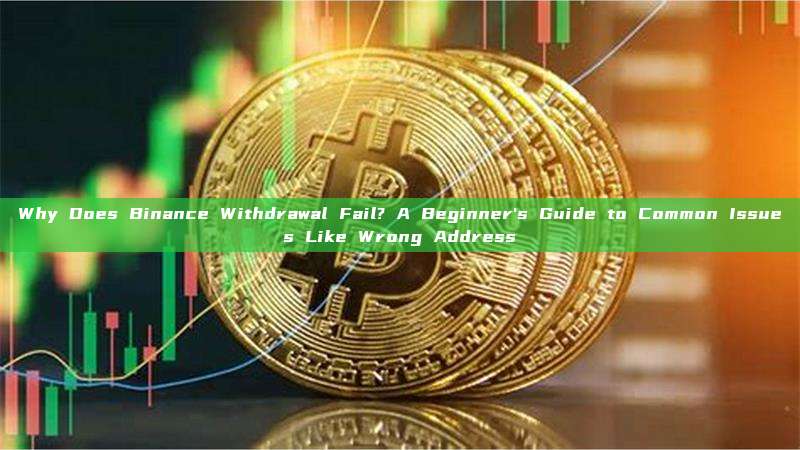 Why Does Binance Withdrawal Fail? A Beginner's Guide to Common Issues Like Wrong Address